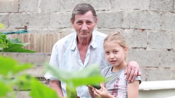女孩，在花园里的一把抱住在花园里坐在户外的退休老人。一代 — 图库视频影像