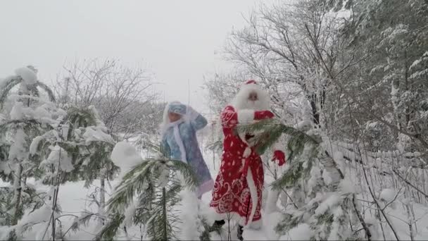 圣诞老人和一个女孩在松树林中开心 — 图库视频影像