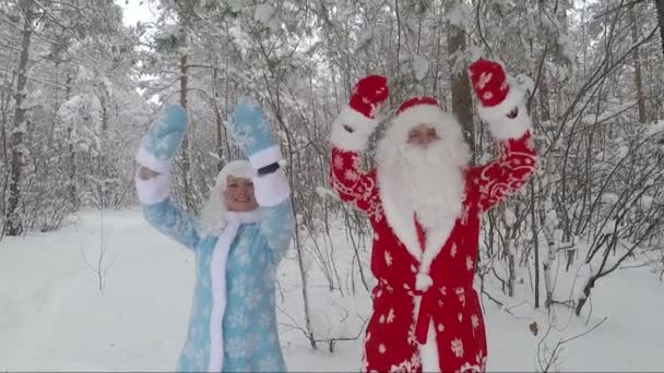 Красиві Снігуронька і Санта на природу в зимовий ліс весело — стокове відео