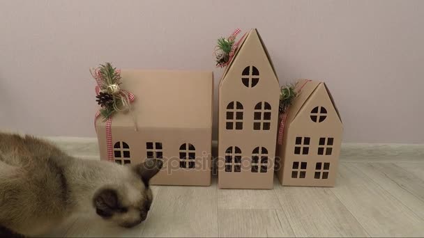 Casa gato e um marrom casas de papelão — Vídeo de Stock