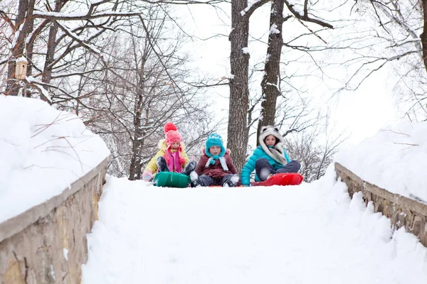 Slittino, divertimento invernale, neve, famiglia — Foto Stock