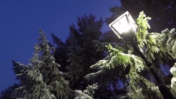 Réverbère d'hiver nocturne avec neige tombante