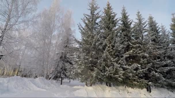 Зимовий пейзаж морозного дня — стокове відео