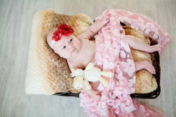 Newborn baby in a basket — Stock Photo, Image