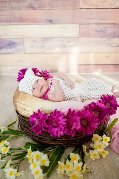 Newborn baby in a basket — Stock Photo, Image