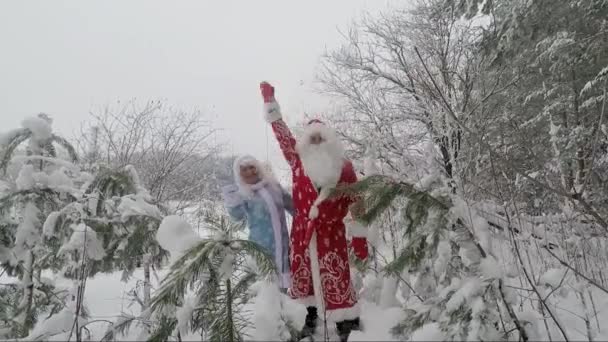 Dançando Santa e Donzela de Neve na natureza na floresta no inverno — Vídeo de Stock