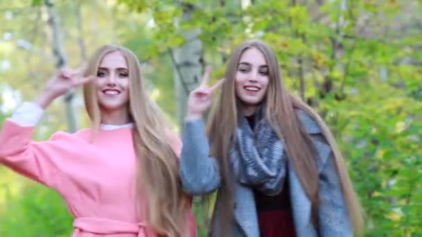 两名年轻妇女在秋天的树林开心 — 图库视频影像
