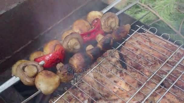 Gustos kebabs suculent pe natura în ziua de vară — Videoclip de stoc