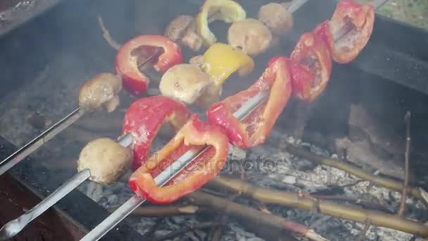 Shish kebab van groenten in een dag in de buitenlucht zomer — Stockvideo