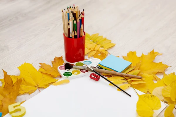 Bordo, rowan folhas e aquarelas e lápis de cor para desenho — Fotografia de Stock