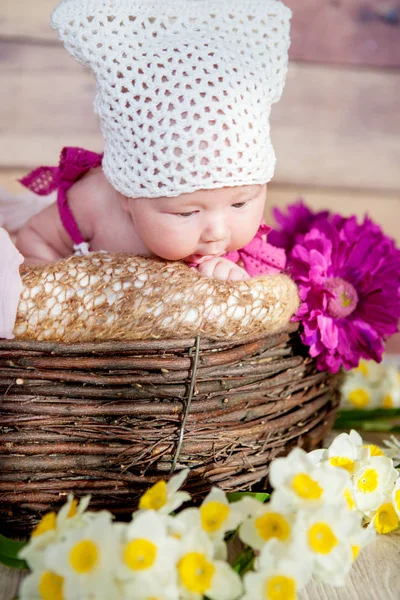 Lovely baby in basket — Stock Photo, Image