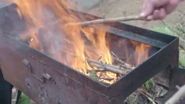 Fuego, humo, carbón de ceniza en brasero en el campo — Vídeos de Stock