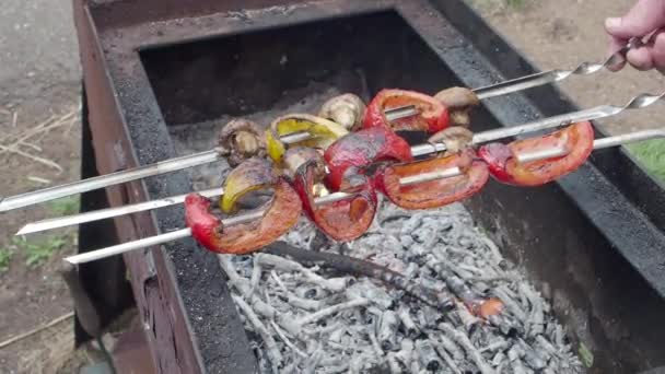 Groenten op spiesjes op de grill — Stockvideo