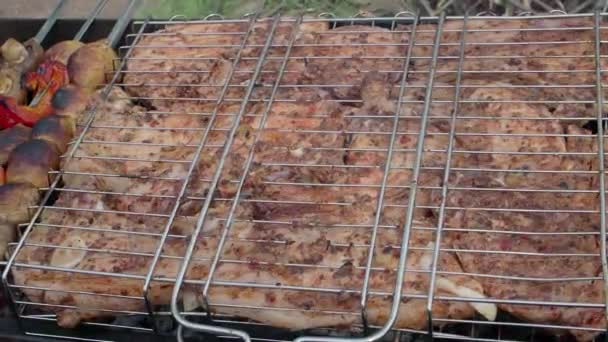 Kebabs suculentos saborosos na natureza no dia de verão — Vídeo de Stock
