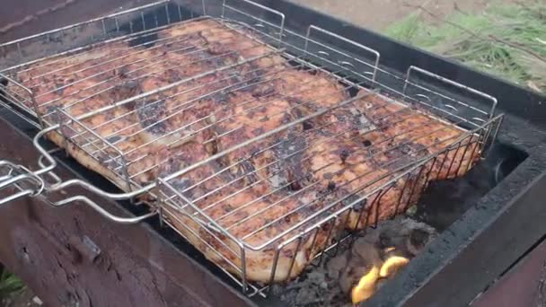 Bifes de porco são assados em churrasqueira — Vídeo de Stock