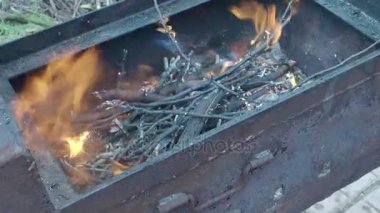 Kuru dalları doğa mangal yakmak. Alev dilleri