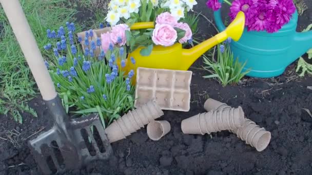 Spade och plast ljusa vattenkanna med buketter av blommor i trädgården. Arbetar i trädgården — Stockvideo