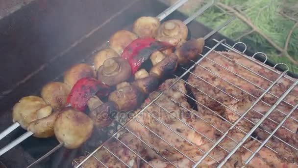 Fleisch und Gemüse, auf Holzkohle gegrillt — Stockvideo