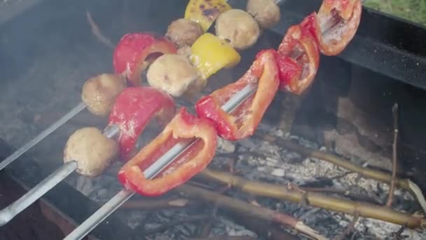 Шашлык из овощей, грибов и перца в летний день на открытом воздухе — стоковое видео