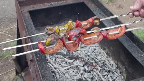 Groenten op spiesjes op de grill — Stockvideo