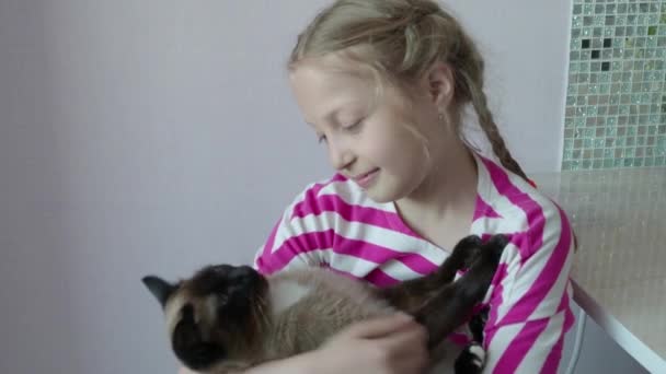 A beautiful 9 year old girl sits hugging a Siamese thoroughbred cat in a room. 4K — Stock Video