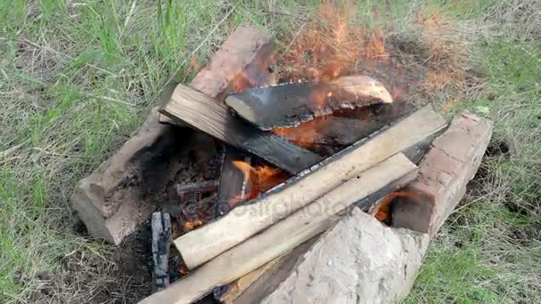 Una hoguera arde en la naturaleza en un día de verano . — Vídeos de Stock