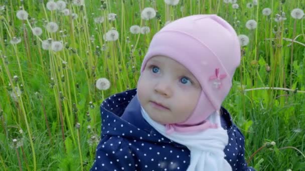 Красива дитина на траві з кульбабами. 4-кілометровий — стокове відео
