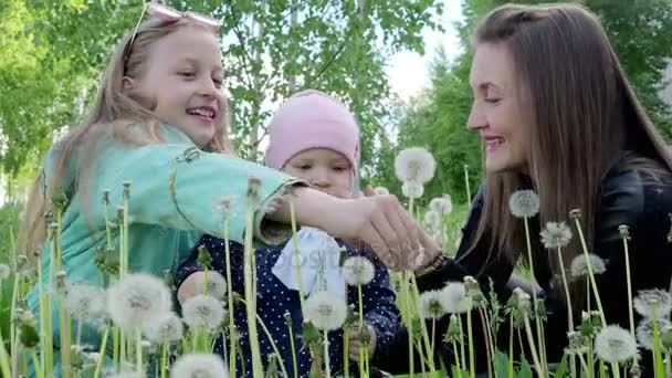Een gelukkig vreugdevolle familie blazen op paardebloemen in de middag van de lente. 4k — Stockvideo