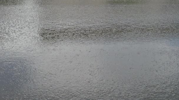 Lluvia de verano. Gotas de lluvia sobre el asfalto. 4K — Vídeos de Stock