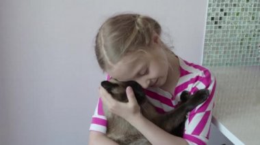Güzel bir kız bir Siyam kedisi kapalı ilgilenir. 4k