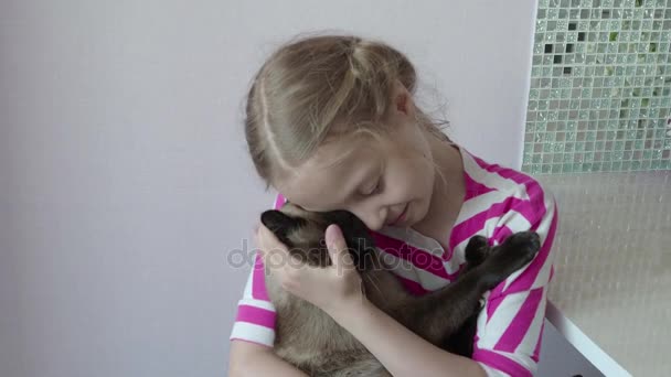 Een mooi meisje zorgt voor een Siamese kat binnenshuis. 4k — Stockvideo