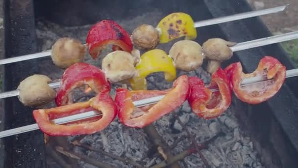 Shish kebab från grönsaker på spett i naturen. Picknick — Stockvideo
