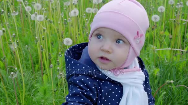 Mooie baby in groene gras met paardebloemen op natuur in het voorjaar. 4k — Stockvideo