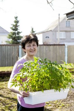 Bahar günü bahçede elinde fide ile mutlu olgun kadın
