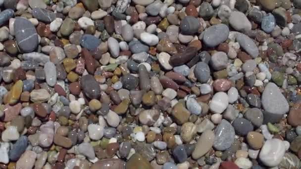 Stenar på en strand vid havet. — Stockvideo