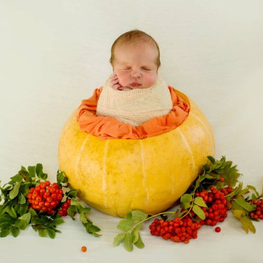 Yeni doğmuş bir bebek beyaz zemin üzerinde bir sonbahar kompozisyon koza poz oturuyor