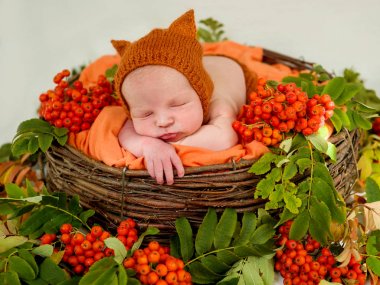 Çilek dağ kül ve yaprakları ile bir sepet içinde yeni doğmuş. Sonbahar bebek