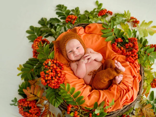 Newborn baby in an orange suit in a basket with rowan — Stock Photo, Image