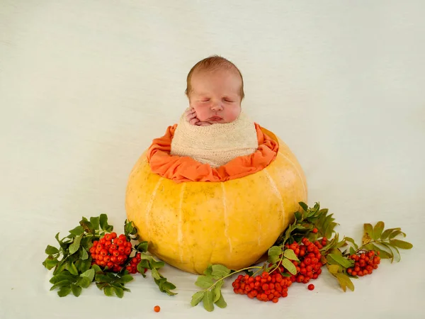A newborn baby in an orange pumpkin and mountain ash. autumn idea and baby — Stock Photo, Image