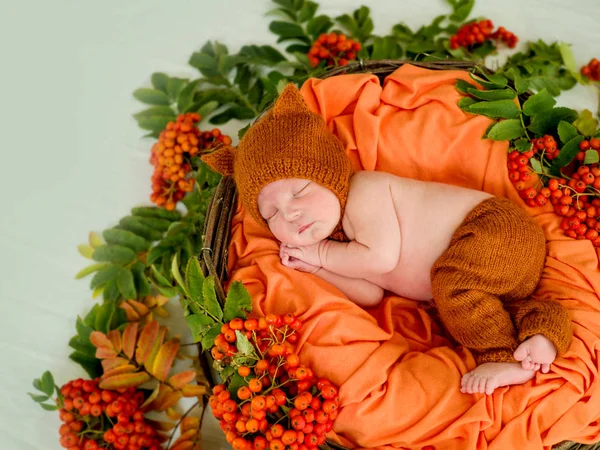 Yeni doğmuş bir bebek rowan sepet yatıyor