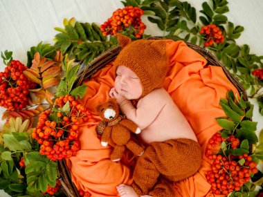 Bir örme turuncu tilki ve rowanberry ile yeni doğan bebek