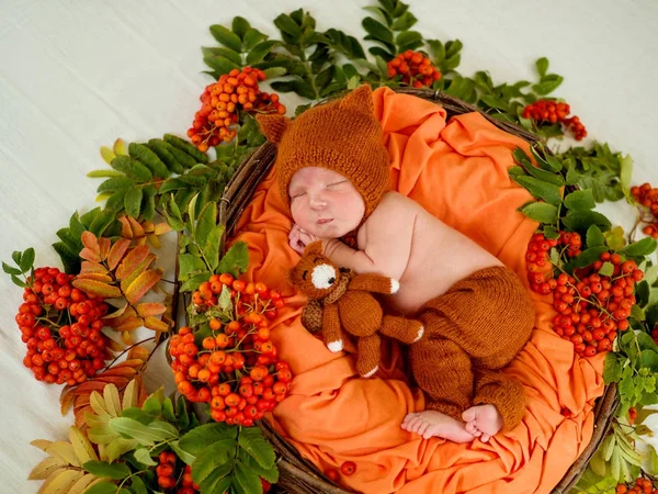 Beautiful newborn baby in a basket with orange bunches of mountain ash — Stock Photo, Image