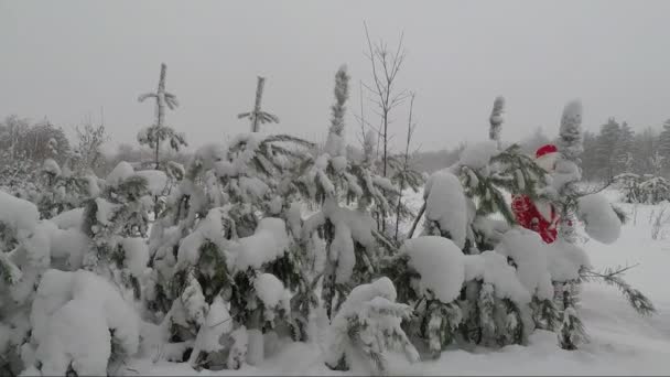 Santa en kleindochter sneeuw Maiden komen uit het bos in de winter. Nieuwjaar. Kerst — Stockvideo