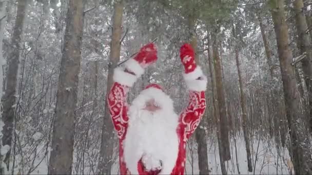 Санта машет руками в заснеженном лесу в зимний день — стоковое видео