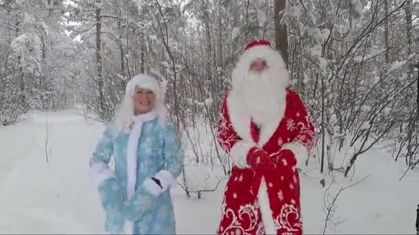 Pai Natal e neta na floresta coberta de neve. Vídeo acelerado — Vídeo de Stock