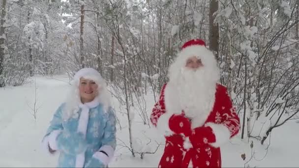 Санта Клаус і внучка у засніженому лісі. Повільний рух зображення — стокове відео