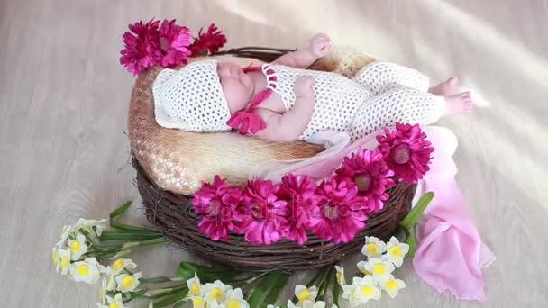 Bebé en una cesta con flores en la habitación — Vídeo de stock