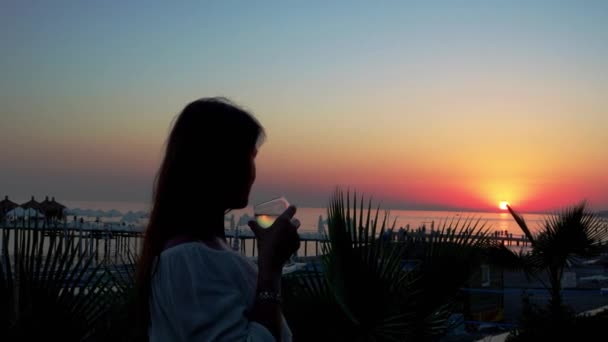 Uma linda garota junto ao mar ao pôr-do-sol bebe vinho de um copo. 4K — Vídeo de Stock