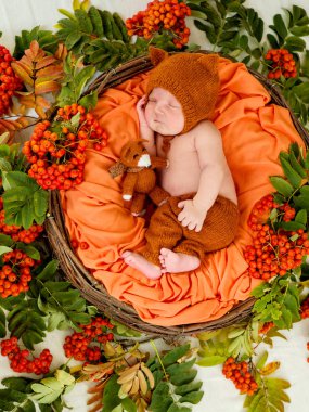 Yeni doğmuş bebek sepette uyuyor.