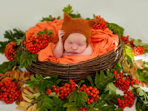 Portrait of a newborn baby in orange clothes. Newborn — Stock Photo, Image